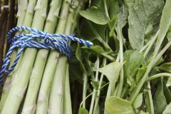 IMG_1542_72dpi-scaled