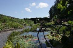 Tuinvijver